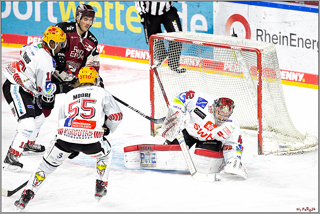 PENNY DEL;  Koelner Haie - Fischtown Pinguins Bremerhaven; Koeln, 12.02.2021